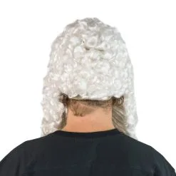 Judge Wig -bodysocks Shop DSC00227