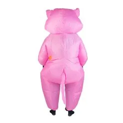 Inflatable Pig Costume 13 Inflatable Pig Costume -bodysocks Shop DSC00405