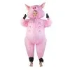 Kids Inflatable Pig Costume -bodysocks Shop DSC00802