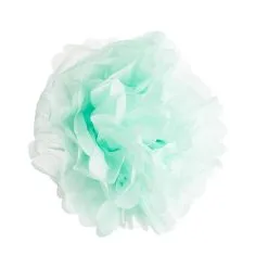 Pink And Green Party Pack -bodysocks Shop DSC09909