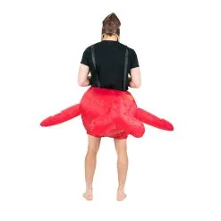 Inflatable Plane Costume 14 Inflatable Plane Costume -bodysocks Shop Plane8