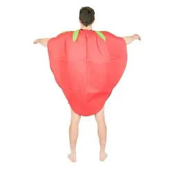 Strawberry Costume 13 Strawberry Costume -bodysocks Shop fancy dress strawberry costume 6